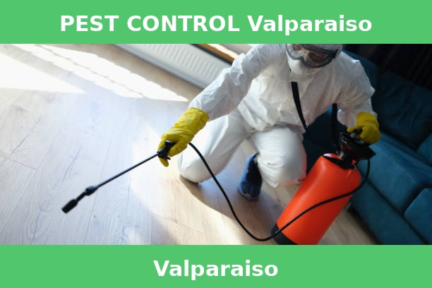 PEST CONTROL Valparaiso